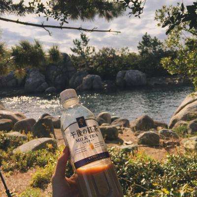 狗万官网app下载